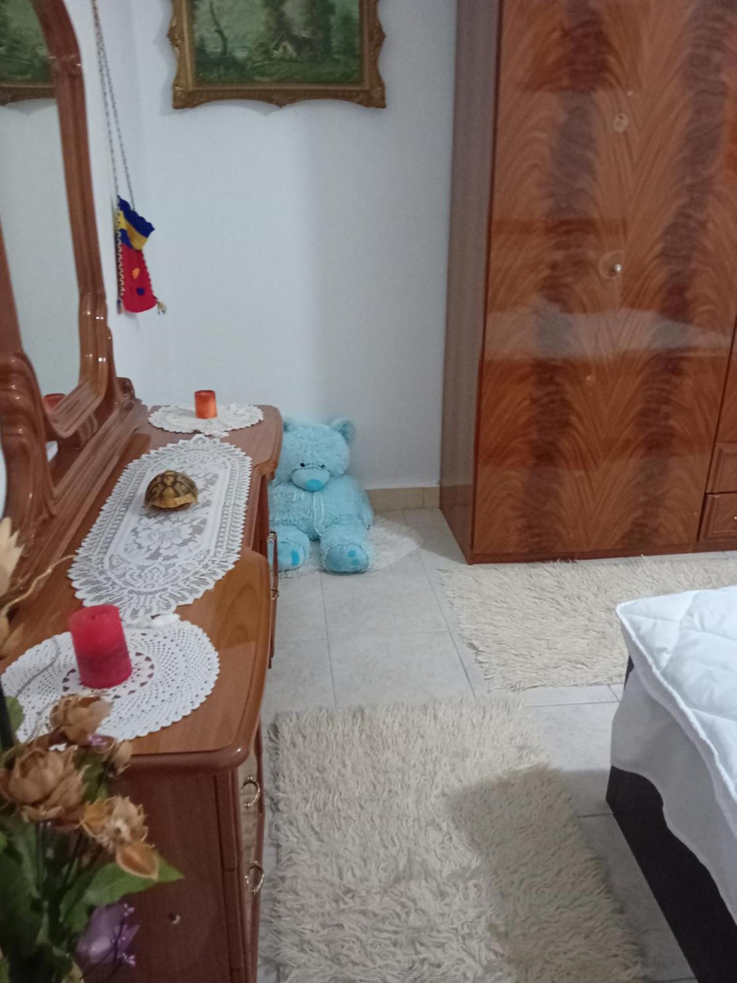 Olivia Guesthouse ジロカストラ エクステリア 写真